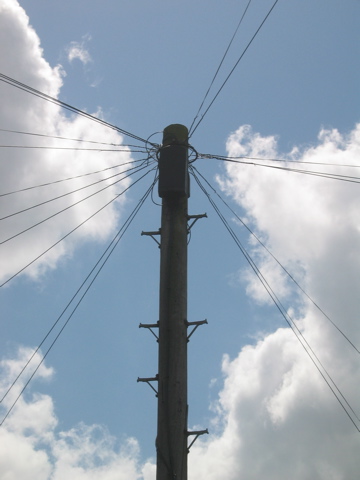 Telephone Pole, Cambridge UK