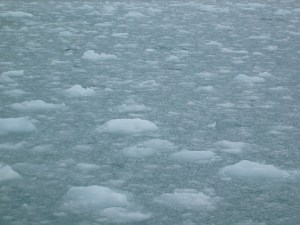 Slush on the approach to the Aialik glacier